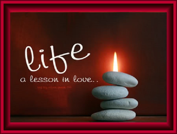 Life Life