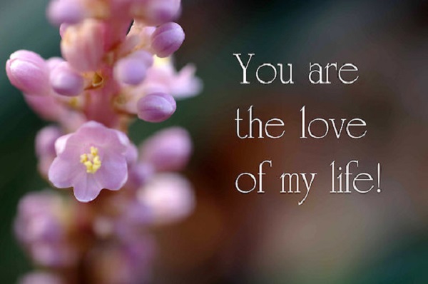 Love Love