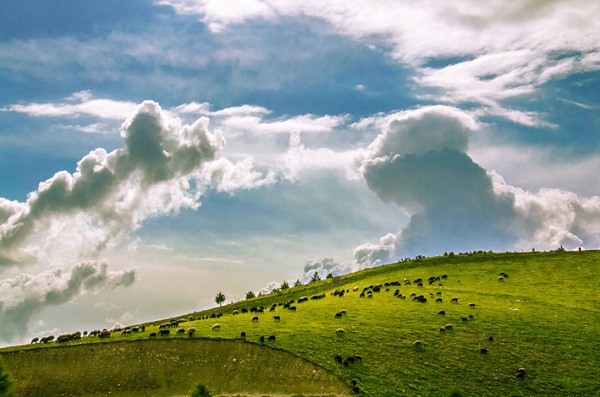 nature nature