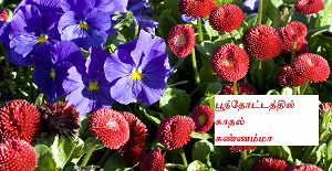 Poonthottathil kathal kannamma