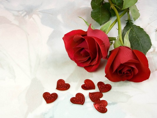 Roses Roses