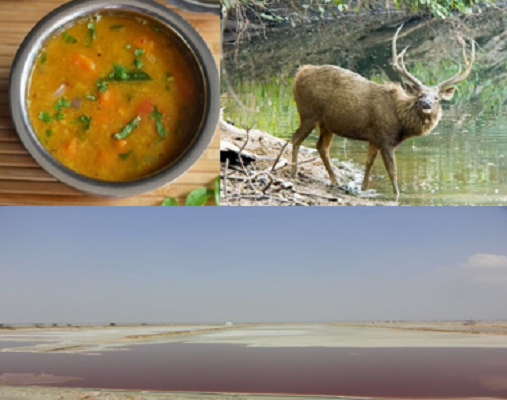 Sambar Sambar