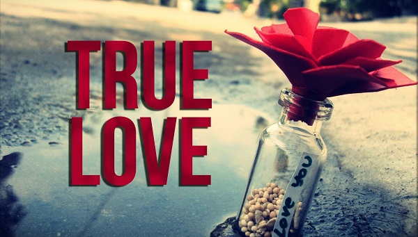 True Love True Love