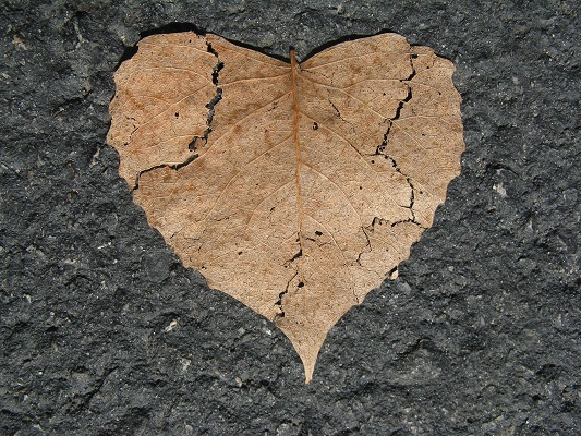 Wound Wound