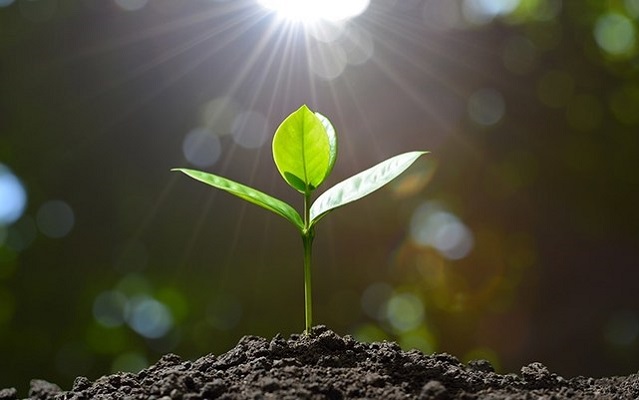 Spiritual tips Spiritual tips